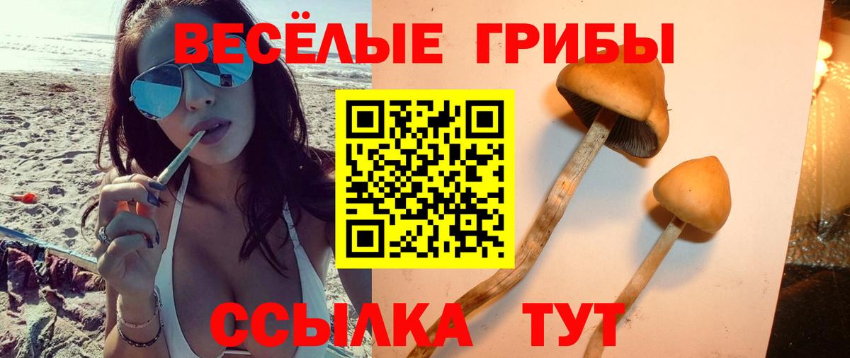 Галлюциногенные грибы ЛСД Йошкар-Ола