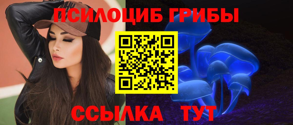 Псилоцибиновые грибы Magic Shrooms  Псилоцибиновые грибы MAGIC MUSHROOMS  Вход с VPN  Йошкар-Ола 